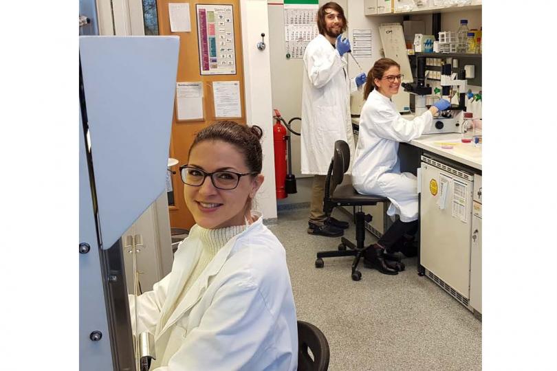 Die Arbeitsgruppe bei in vitro Arbeiten in der Zellkultur. Von links nach rechts: Dr. Kathrin Hedegger, Maximilian Marschall und Dr. Christine Hösl.“ 