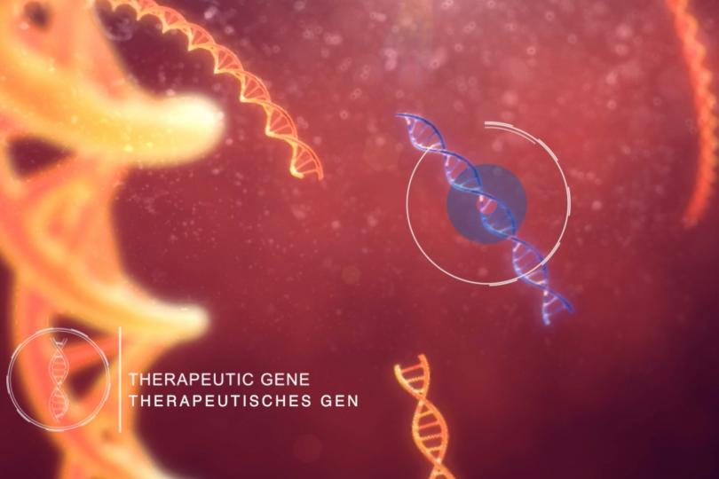 Image Therapeutic gene