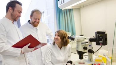 PD Dr. Nico Lachmann (links) arbeitet gemeinsam mit Patrick Blank (Mitte) und Dr. Miriam Hetzel (rechts) an der neuen Therapie