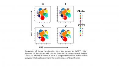 Comparison of human lymphocytes from four donors by CyTOF®. 