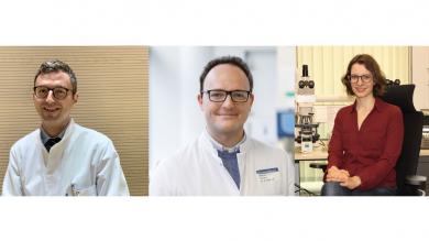 Die ersten drei Else Kröner Clinician Scientist Professuren