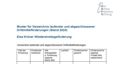 Else Kröner Wiedereinstiegsförderung 2024: Muster Verzeichnis Dittmittelförderungen