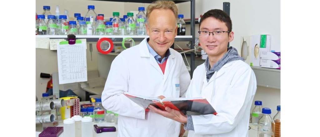 Urologist Dr. med. Jun Li and immunologist Prof. Dr. Marcus Groettrup discussing data in their laboratory at the University of Konstanz