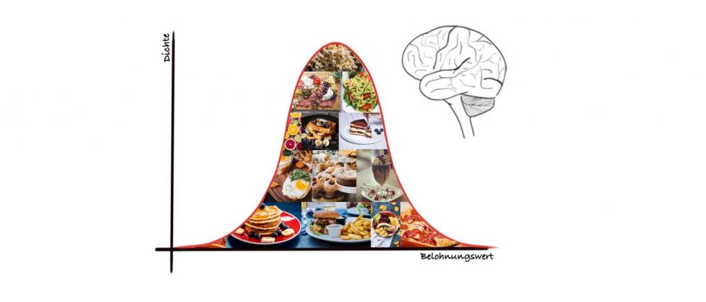 Essen wirkt belohnend auf unser Gehirn. Im Rahmen des Projekts „Binge Eating und neuronale Variabilität“ untersuchen wir den Zusammenhang von erhöhter Variabilität dieser Belohnungsverarbeitung und dem Auftreten von Essanfällen.