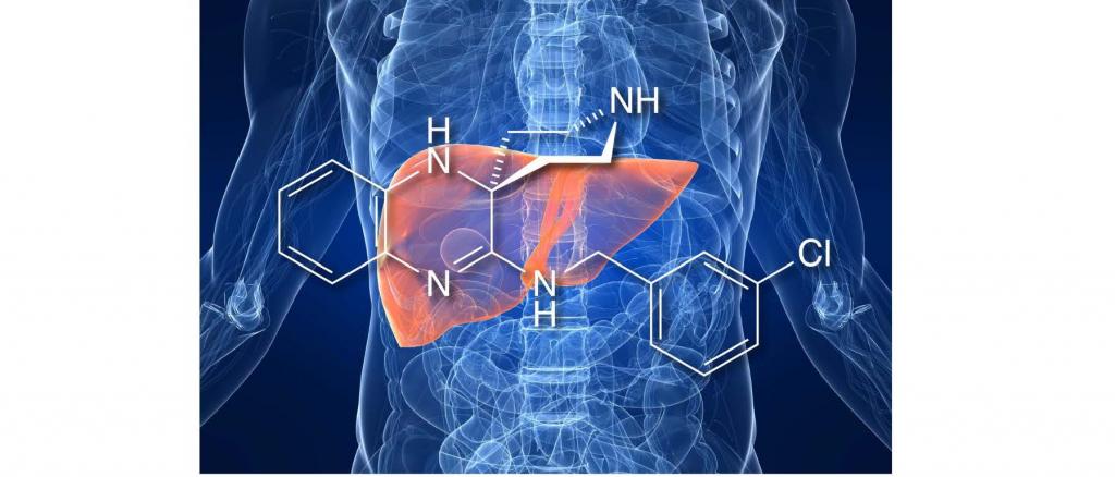 The project involves the preparation and execution of a first-in-man study to investigate the potential of novel small molecule ferroptosis inhibitors for the prevention of ischemia/reperfusion injury upon liver transplantation.